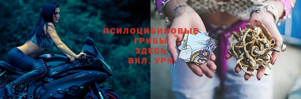 кокаин колумбия Белокуриха