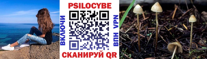 цены наркотик  Сковородино  darknet какой сайт  Галлюциногенные грибы MAGIC MUSHROOMS 